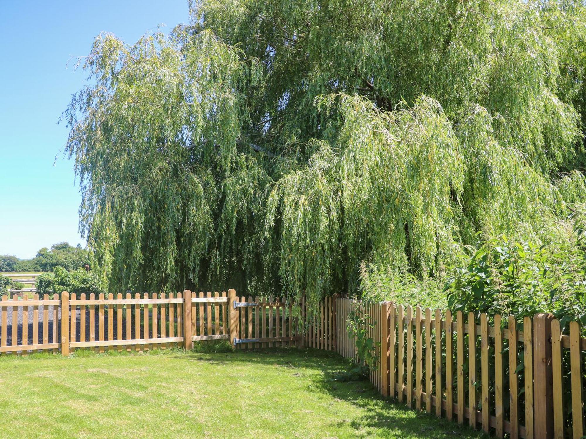Willow Pod อารันเดล ภายนอก รูปภาพ